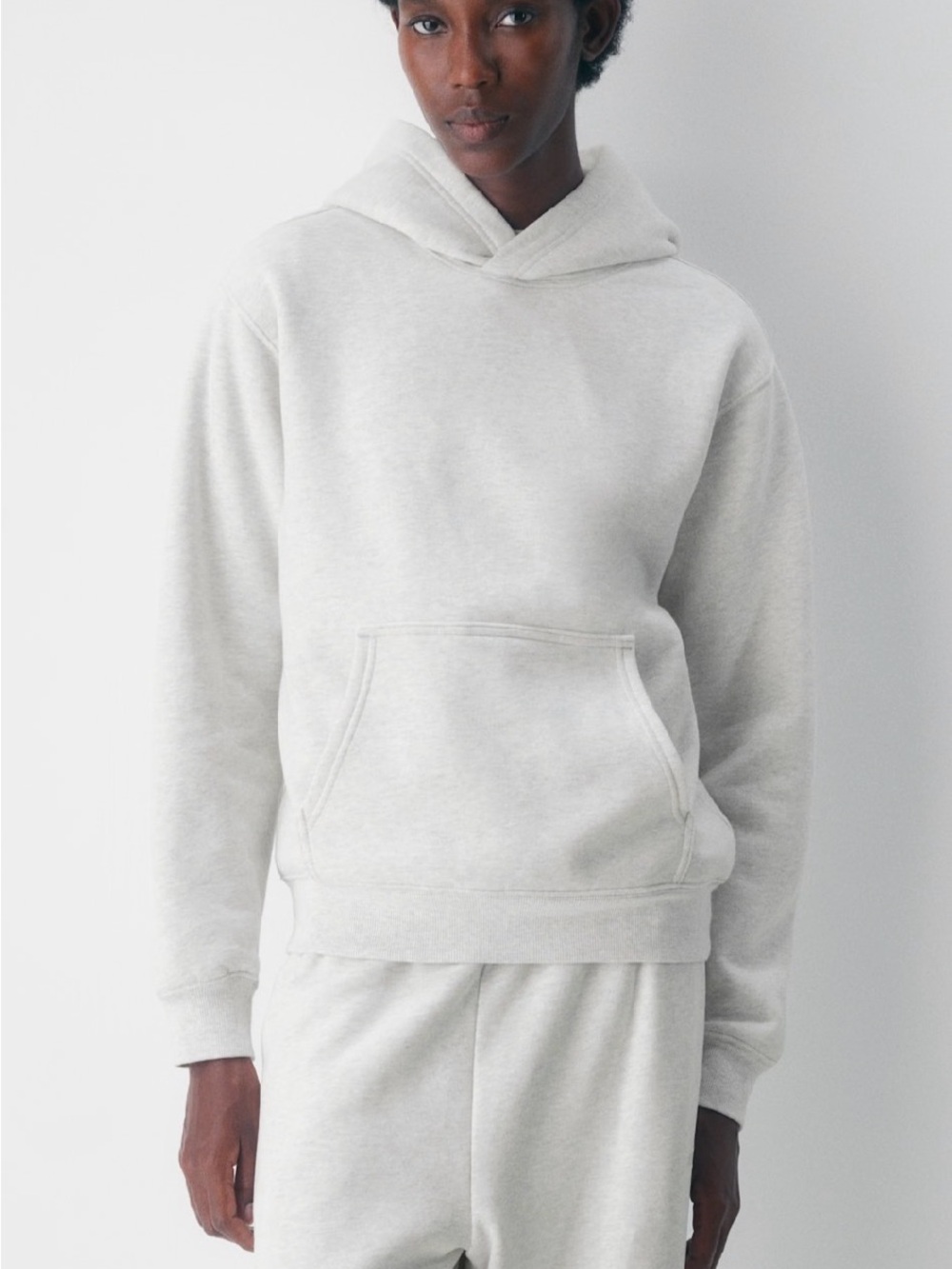 NWT Aritiza Perfect Hoodie
